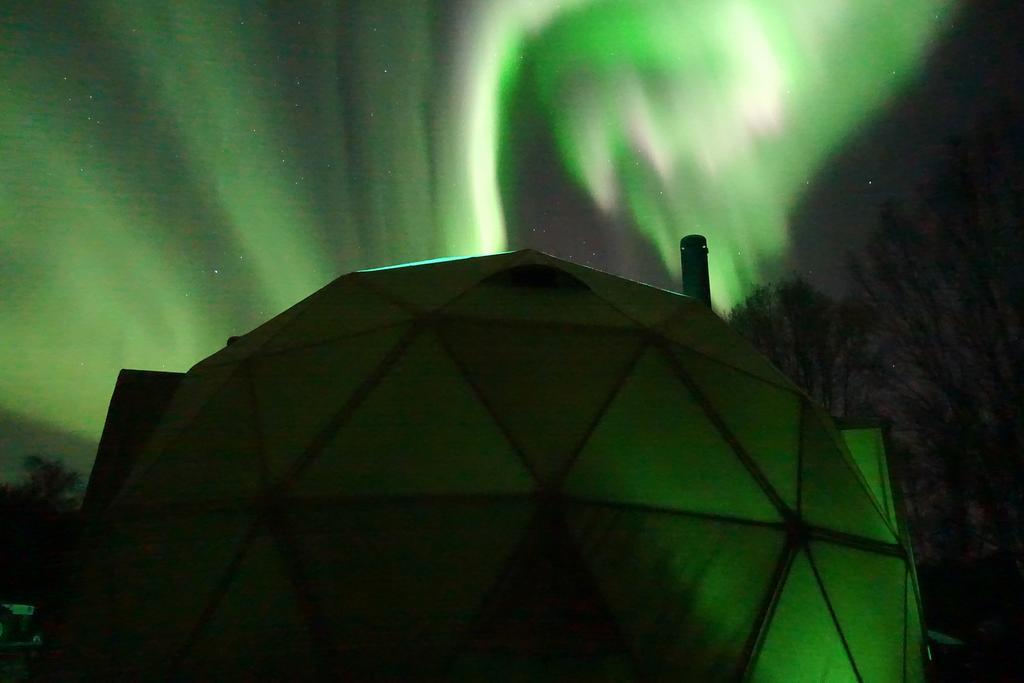 Luxury tent Wild Caribou Dome Lakselv