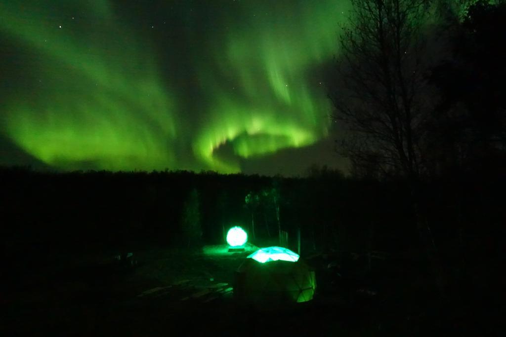 Wild Caribou Dome Luxury tent Lakselv