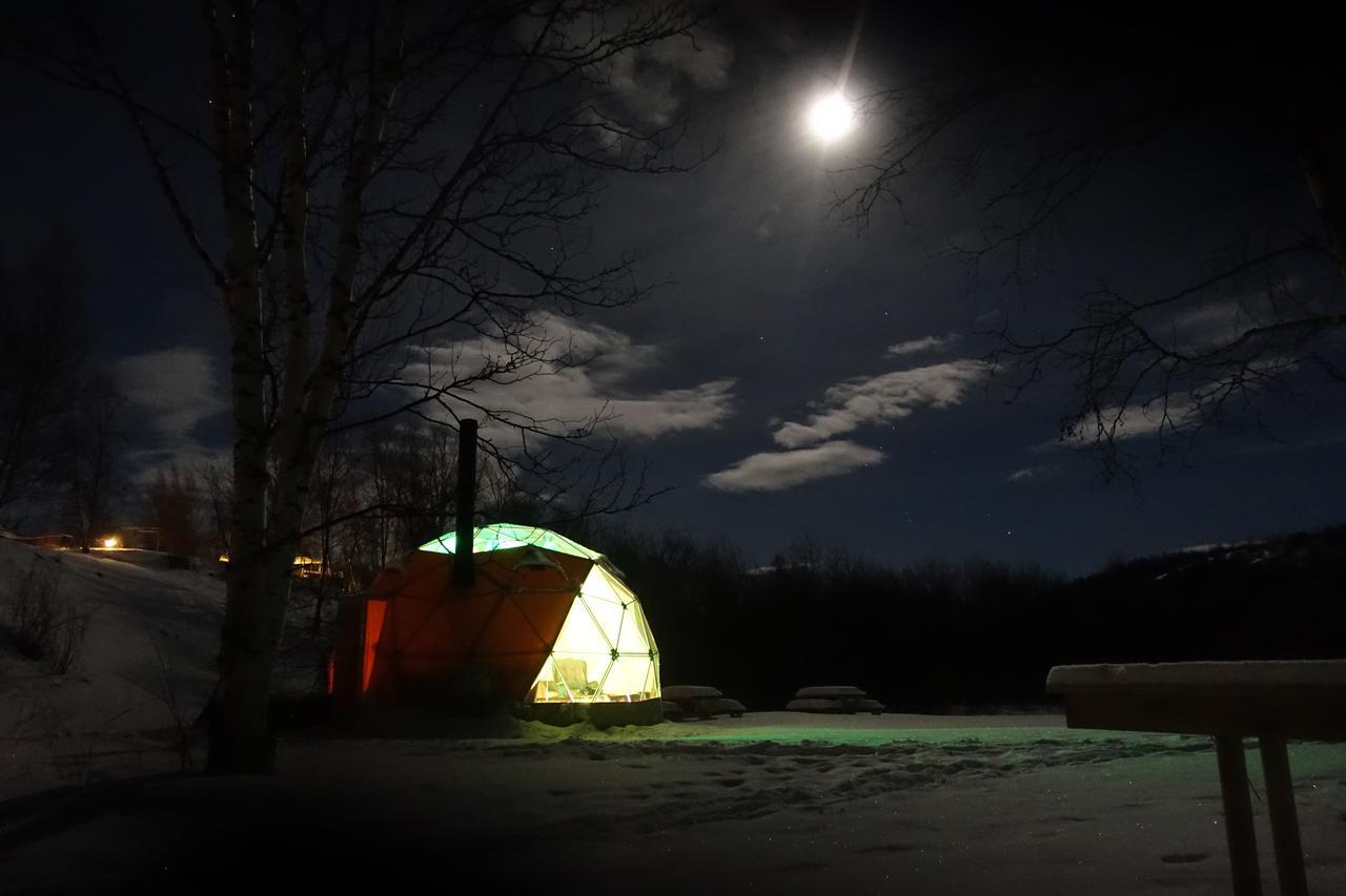 Wild Caribou Dome 3* Lakselv