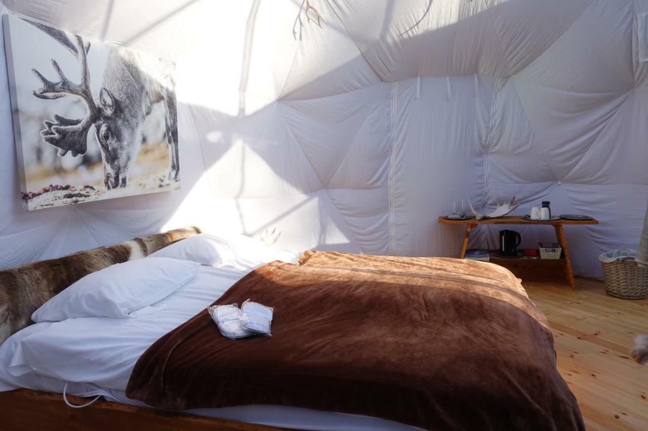 Luxury tent Wild Caribou Dome