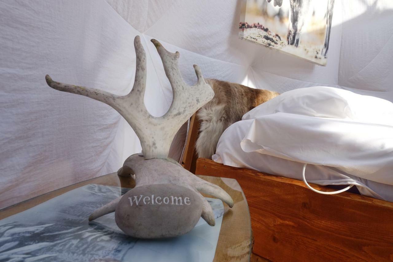 Wild Caribou Dome Luxe tent 3*