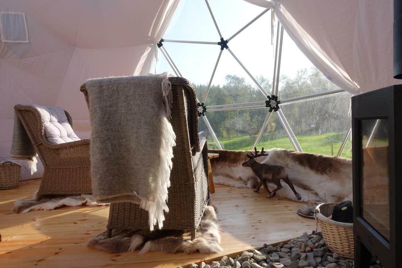 Luxury tent Wild Caribou Dome