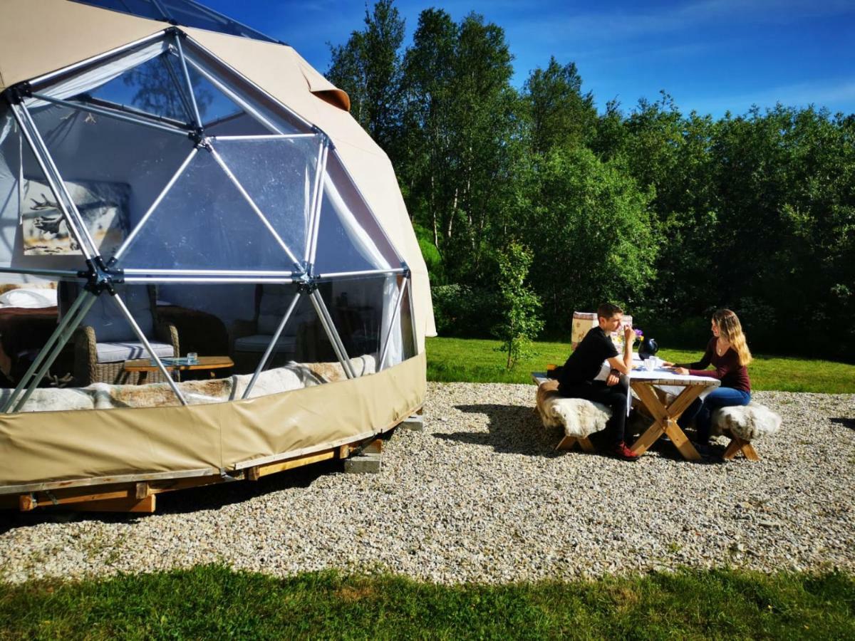 Wild Caribou Dome 3*